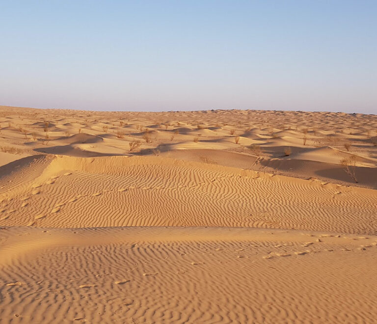 Dune de Tunisie Desert