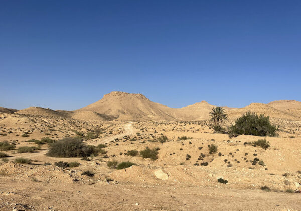 Paysage de désert Grand erg oriental