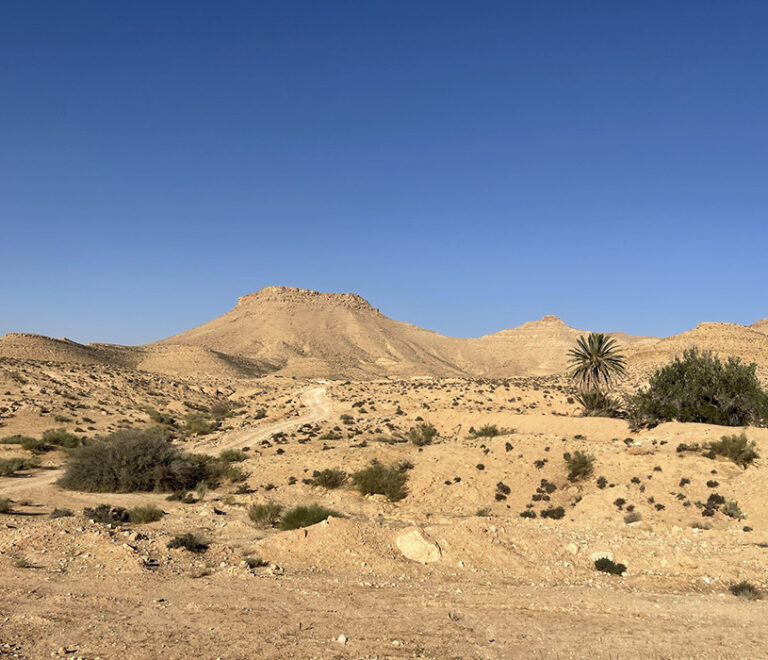 Paysage de désert Grand erg oriental