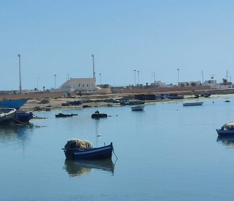 Petit port de Tunisie