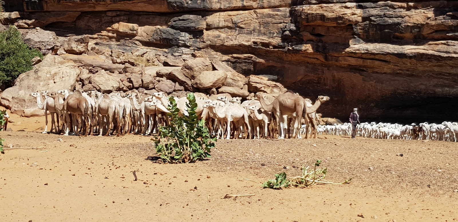 Voyage Mauritanie